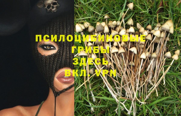 ALPHA-PVP Остров