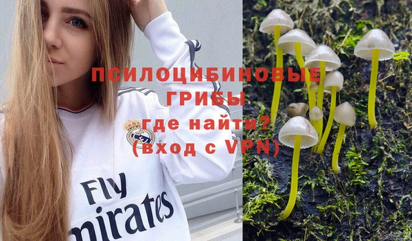 герыч Осташков