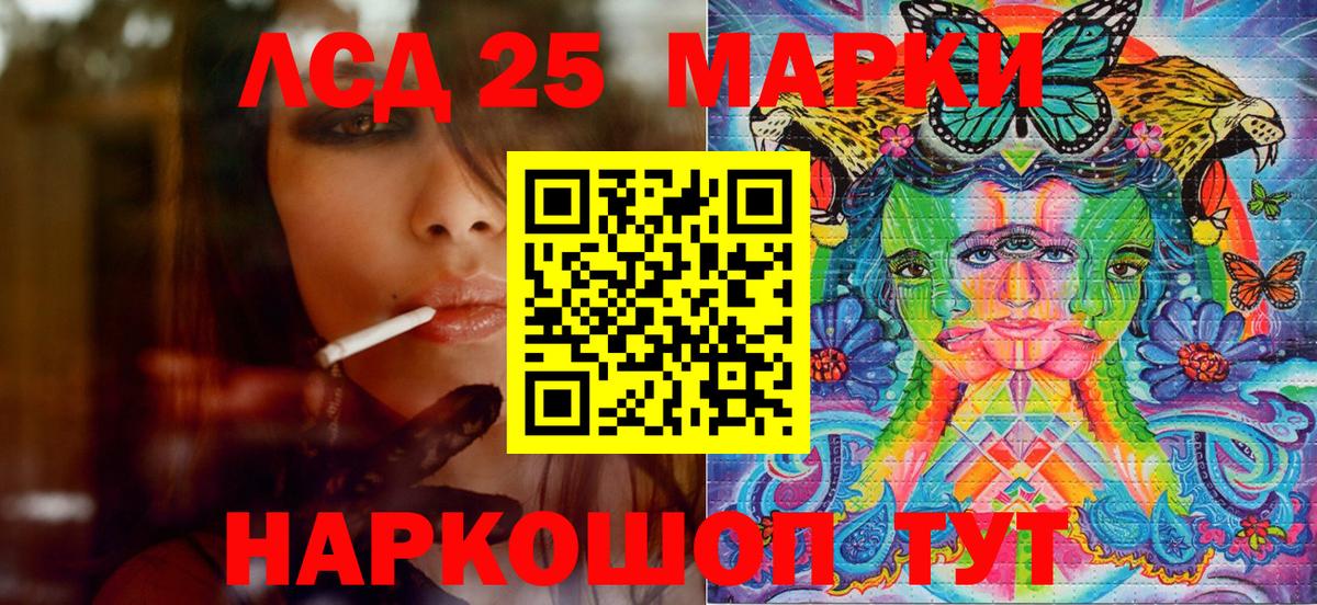 Псилоцибиновые грибы Кропоткин