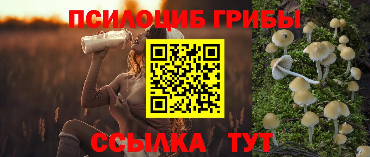 Галлюциногенные грибы прущие грибы Кропоткин