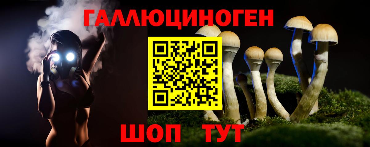 Кропоткин  Галлюциногенные грибы GOLDEN TEACHER  Вход с VPN 